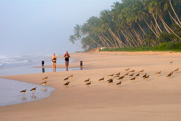 Sri Lanka | Poranny jogging na plaży Koggala